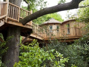 Facit Trees treehouse built for Harptree micro hotel