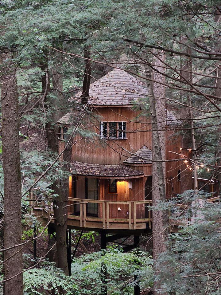 Treehouse Phase 5